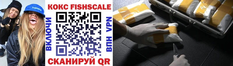 Кокаин FishScale  Купить закладки  Арзамас 