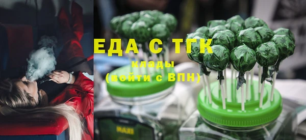 МДПВ Ельня