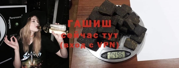 МДПВ Ельня