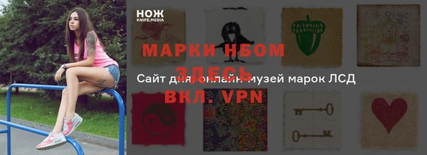 МДПВ Ельня