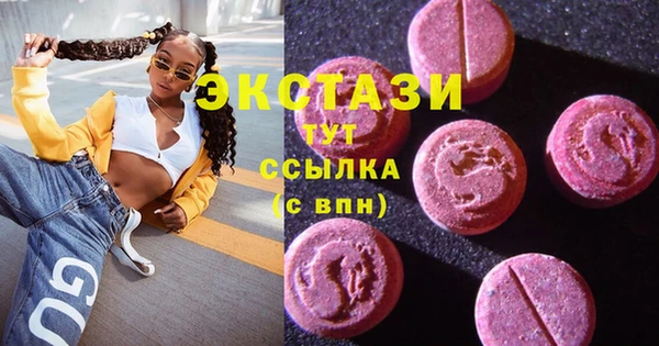МДПВ Ельня