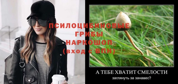 таблы Елизово