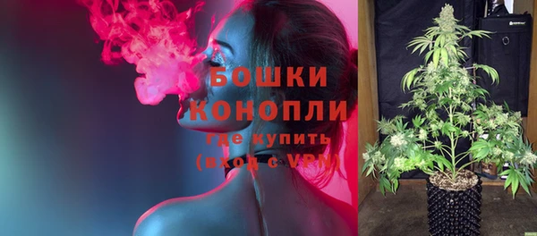 МДПВ Ельня
